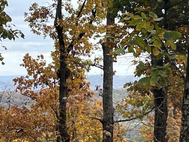 Land for sale in Tennessee