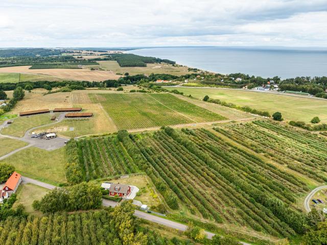 Bostad till salu i Kivik, Skåne län