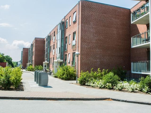 Hus til leje i Haderslev
