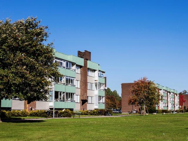 Lägenhet hyra i Ljungby, Kronoberg