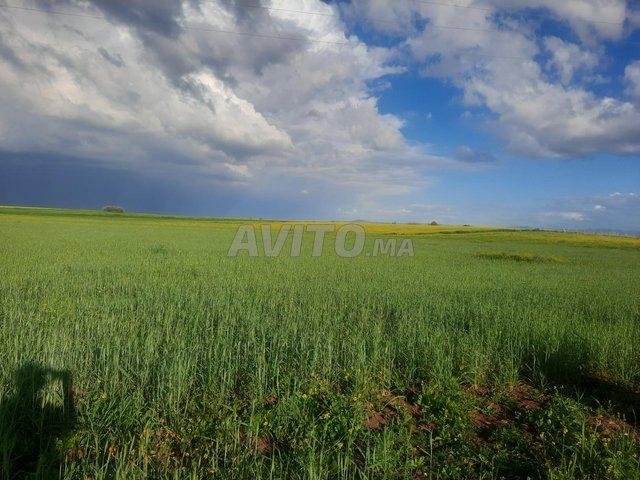 Propriété vente à Ait Khemis