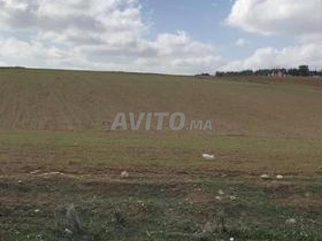 Propriété vente à Salé