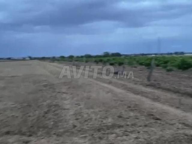 Propriété vente à Sidi Allal El Bahraoui