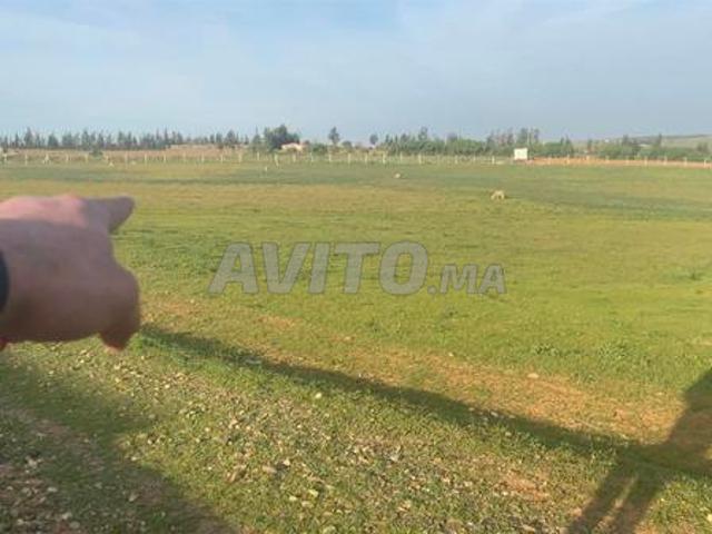 Propriété vente à Sidi Allal El Bahraoui