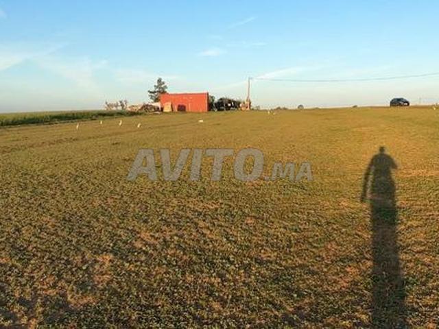 Propriété vente à Lyautey