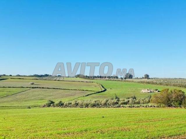 Propriété vente à Salé
