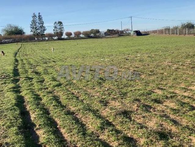 Propriété vente à Sidi Allal El Bahraoui