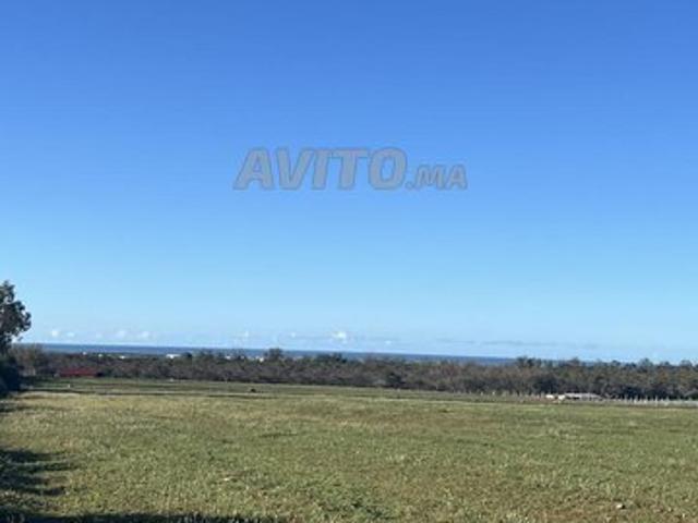 Propriété vente à El Ma, Gharb-Chrarda-Beni Hssen