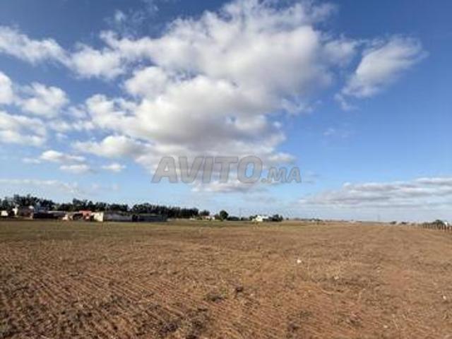 Propriété vente à El Ma, Gharb-Chrarda-Beni Hssen