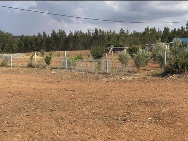 Propriété vente à Sidi Allal El Bahraoui