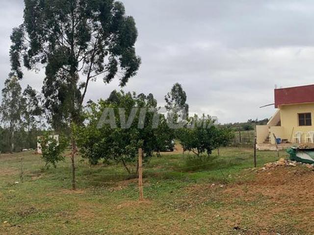 Propriété vente à Salé