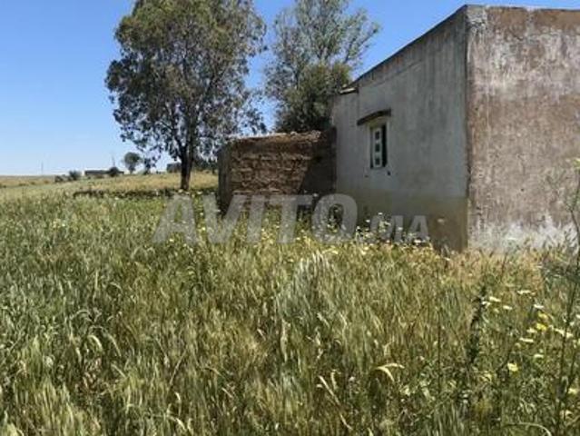 Propriété vente à Lyautey