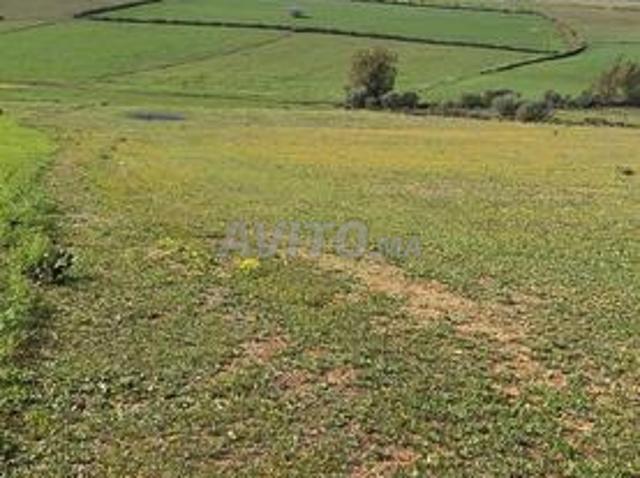 Propriété vente à Sidi Allal El Bahraoui