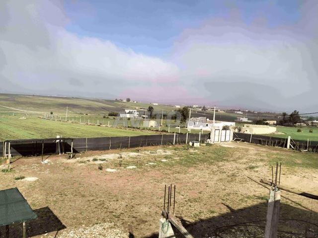 Propriété vente à El Ma, Gharb-Chrarda-Beni Hssen