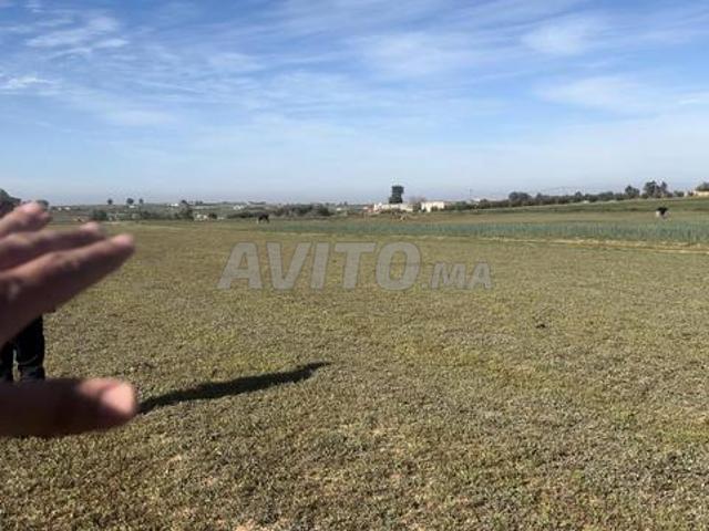 Propriété vente à Salé