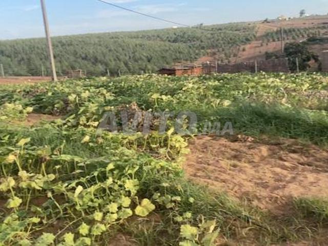 Propriété vente à Salé