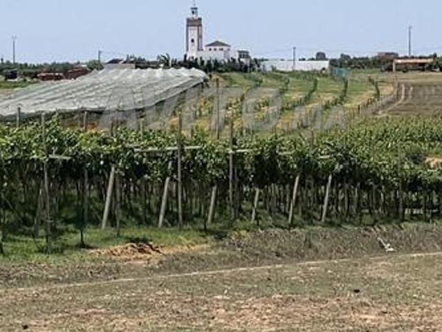 Propriété vente à Salé