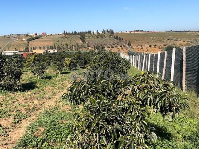 Propriété vente à Sidi Allal El Bahraoui