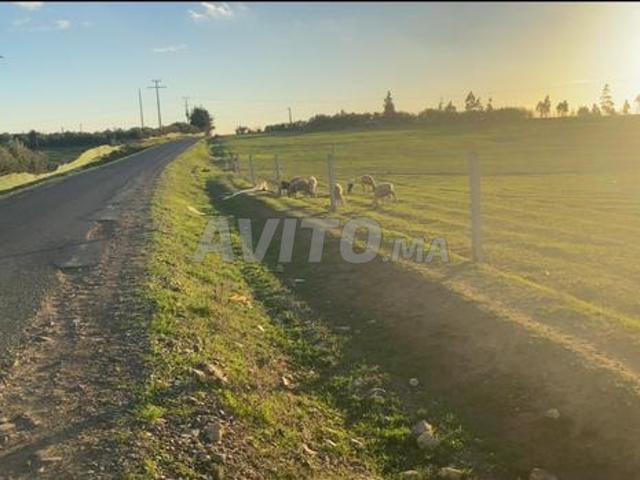 Propriété vente à Sidi Allal El Bahraoui