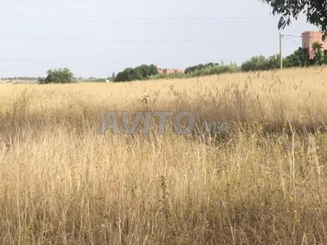 Propriété vente à Salé