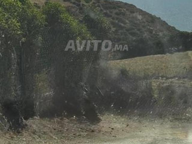 Propriété vente à Assilah, Tanger-Tétouan