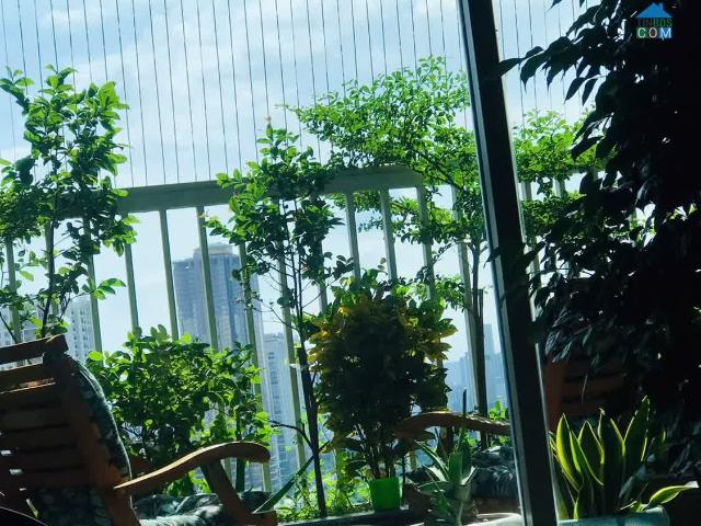 Căn hộ bán tại Hoàn Kiếm, Hà Nội