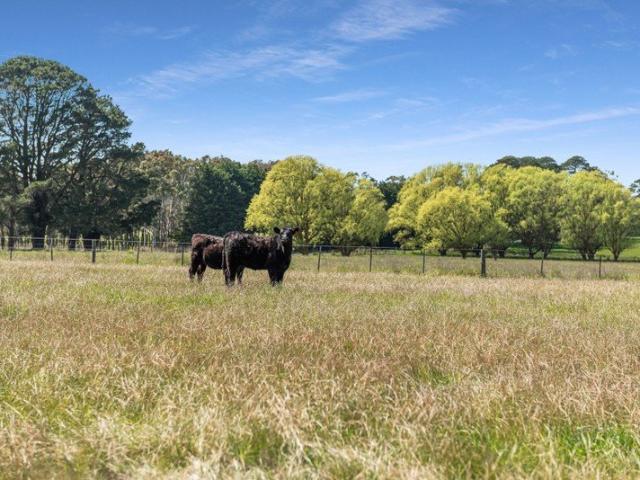 Cottage for sale in Willowmavin, Kilmore