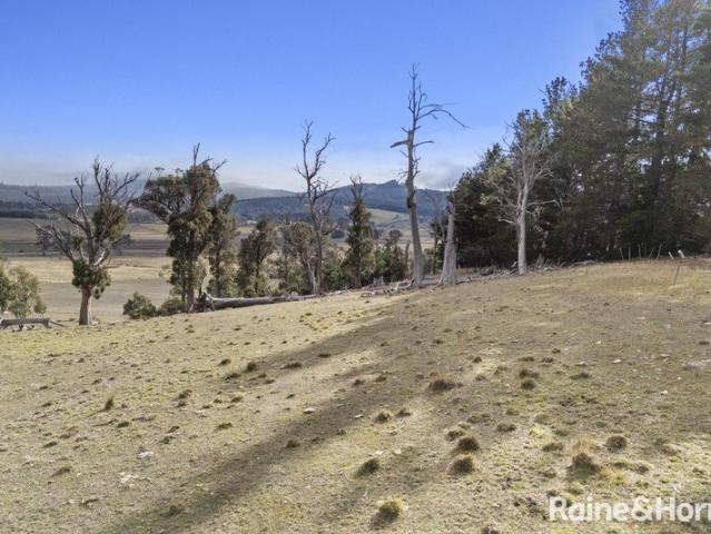 Land for sale in Whitefoord, Tasmania