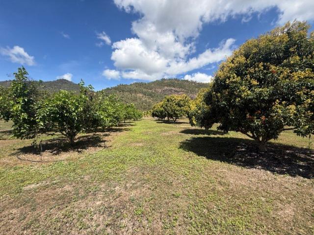 Cottage for sale in Murray Upper, Queensland