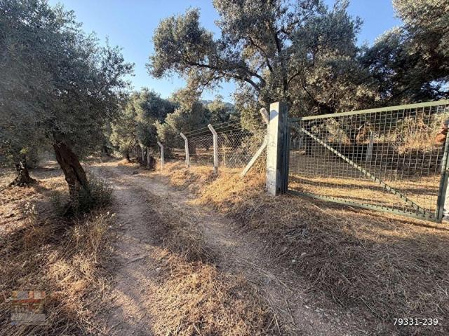 Akçeşme, İncirliova içerisinde satılık mülk