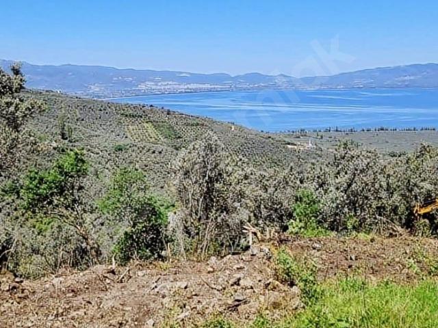 Orhangazi, Bursa içerisinde satılık mülk