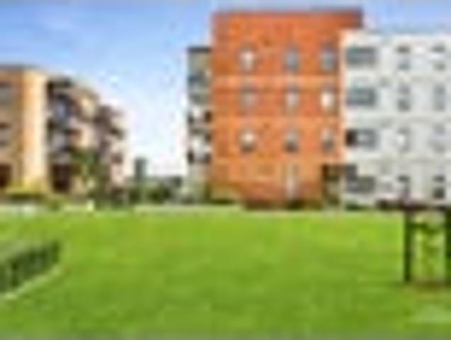 Apartment for rent in Paremoremo