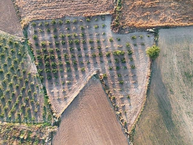 Ferizli, Sakarya içerisinde satılık Arsa