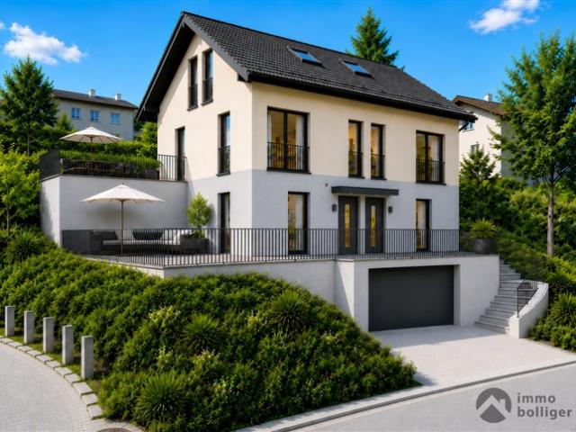 Einfamilienhaus kaufen in Holziken, Aargau
