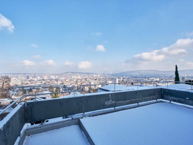 Terrassenwohnung kaufen in Einigen, Zürich