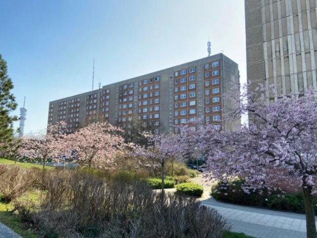 Apartment mieten in Schwerin, Mecklenburg-Vorpommern