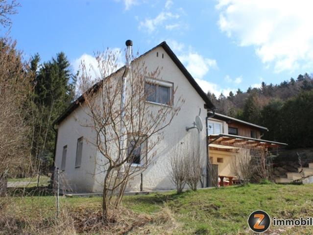 Einfamilienhaus kaufen in Hochneukirchen-Gschaidt, Niederösterreich
