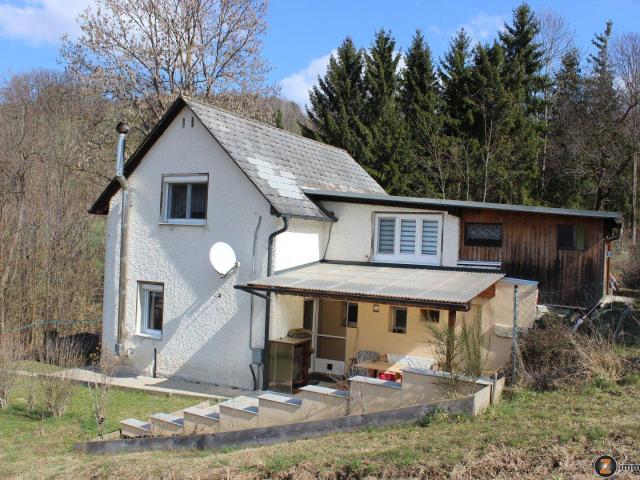 Haus kaufen in Hochneukirchen-Gschaidt, Niederösterreich
