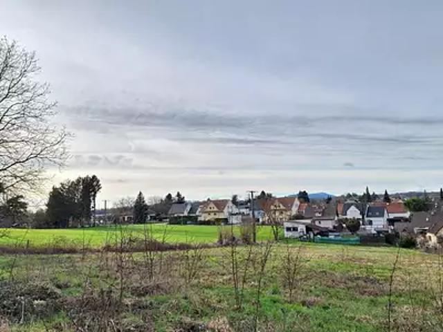 Terrain vente à Hochstatt, Collectivité européenne d'Alsace