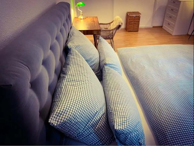 Zimmer mieten in Innenstadt, Sachsenhausen