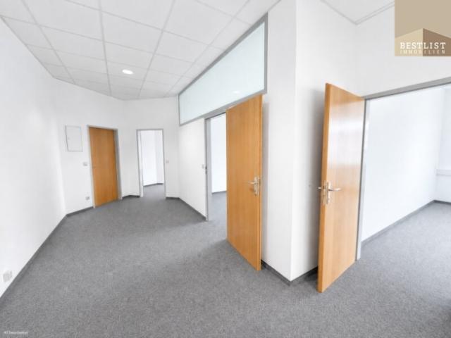 Gewerbe mieten in Katastralgemeinde Traiskirchen, Traiskirchen