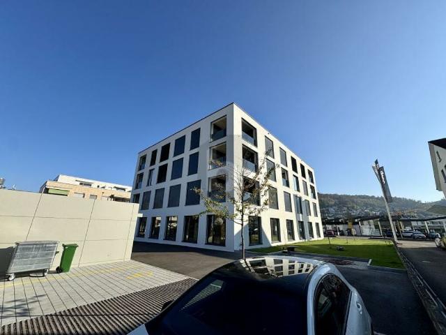 Wohnung mieten in Frenkendorf, Bezirk Liestal