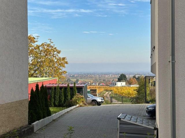 Wohnung mieten in Neustadt, Rheinland-Pfalz