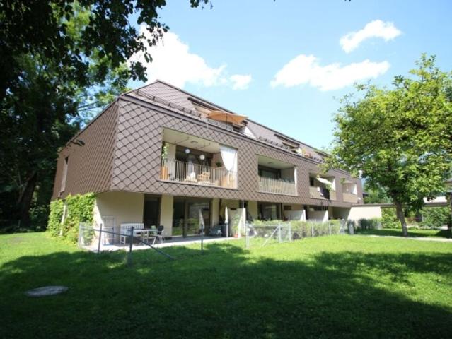 Wohnung mieten in Steinbruch, Ahorn