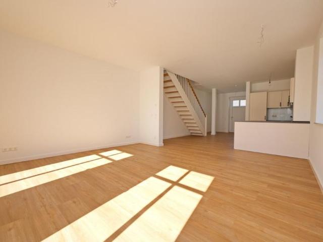 Haus mieten in Seestermühe, Schleswig-Holstein
