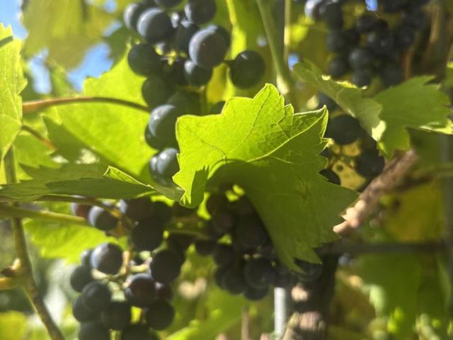 Wohnung mieten in Jochberg, Tirol