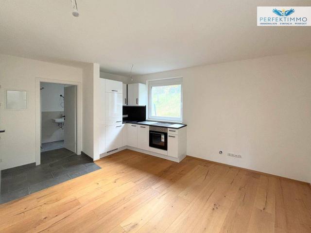 Apartment kaufen in Ausserwerberg, Weerberg