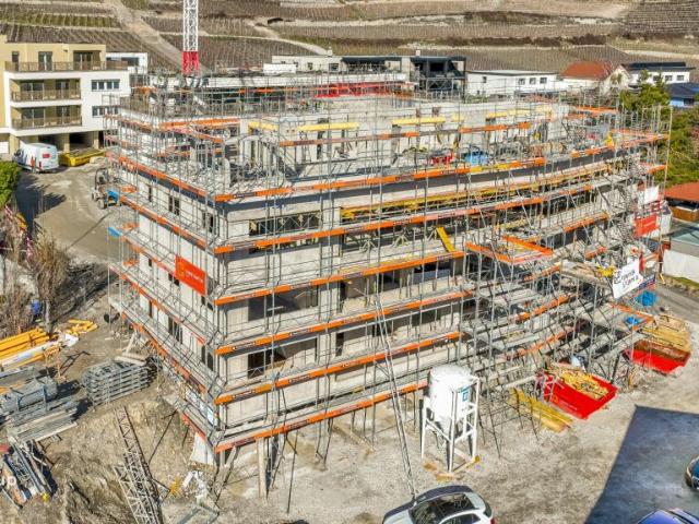 Wohnung kaufen in Salgesch, Wallis