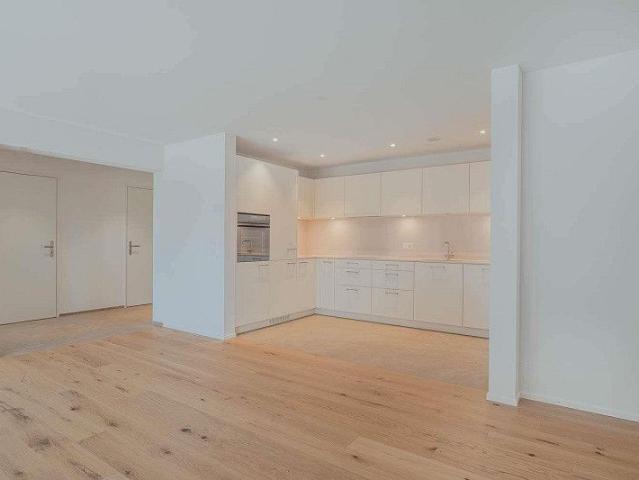 Apartment mieten in Dachsen, Zürich