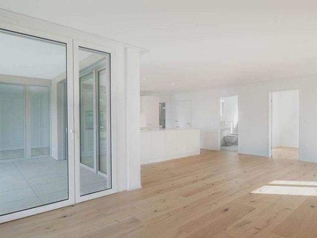 Apartment mieten in Dachsen, Zürich